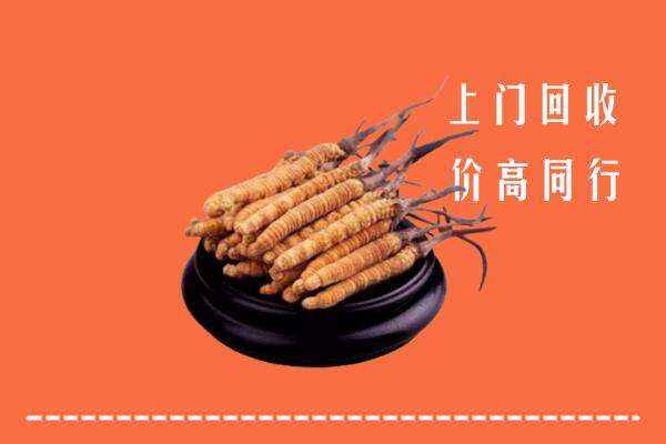 高价求购：宜昌当阳回收散虫草