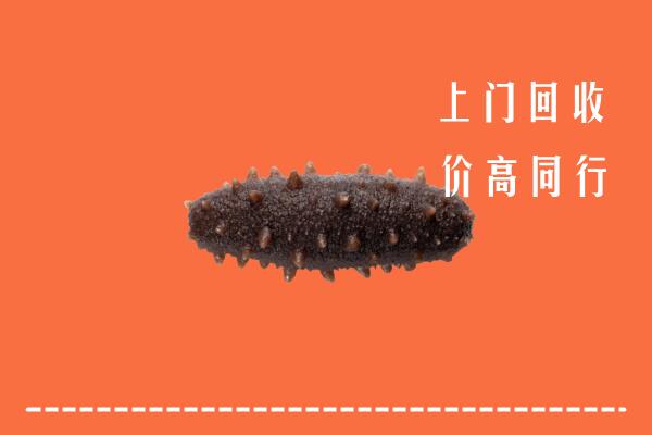 宜昌当阳回收海参