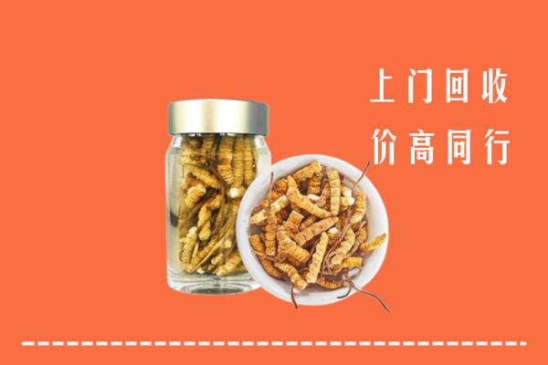 宜昌当阳回收冬虫夏草